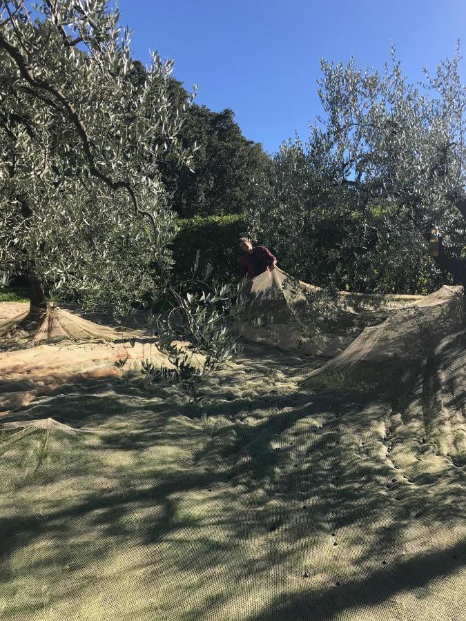 Podere Belvedere Livorno Exterior foto
